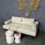 sofa lady